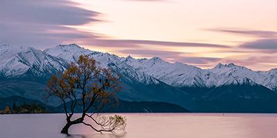 New Zealand-Slovenia
